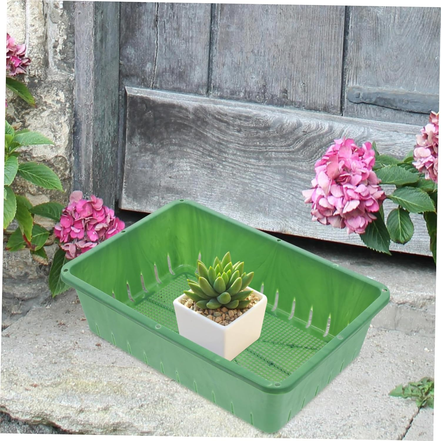 MOBUTOFU Seedling Starter Tray and Sprouting Tray for Indoor Gardening Breathable Design Small Size 26&times;18&times;7Cm 2Pcs Suitable for Seed and Succulent Growing image number 2