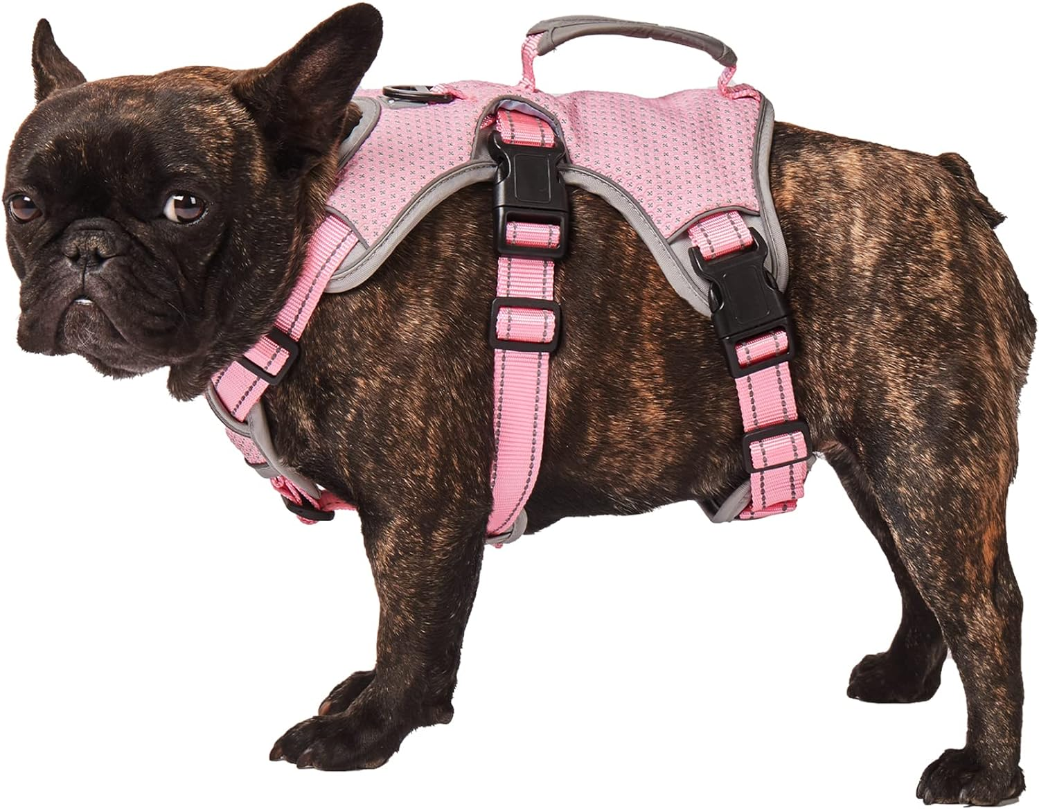 Escape Proof Dog Harness, Multi-Support Harness, Fully Reflective Harness with Padded Handle, Breathable,Durable, Adjustable Vest for Small Dogs Walking, Training, and Running Gear Pink (Small) image number 6