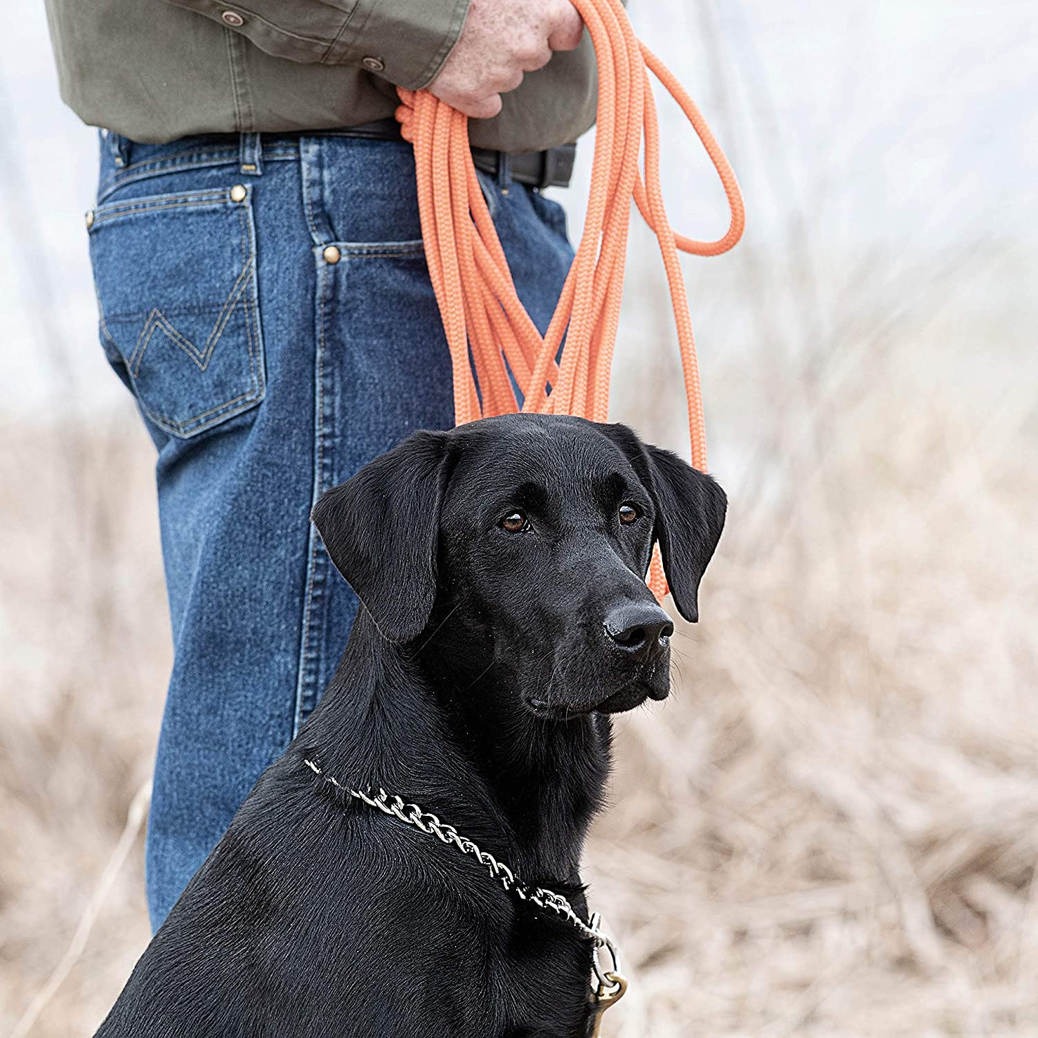 Sportdog Orange Check Cord - High-Visibility Floating Check Cord - Lightweight Tangle-Free Long Dog Training Lead with Heavy-Duty Brass Snap image number 1