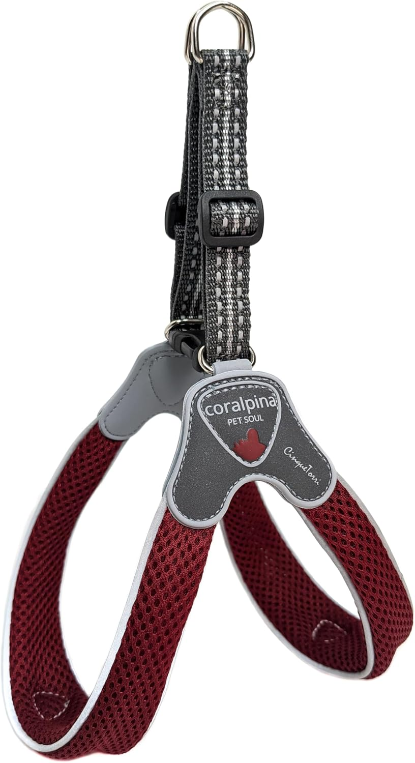 Coralpina Dog & Puppy Harnesses Italian Design & Quality Soft Airmesh (Large, Red Wine)