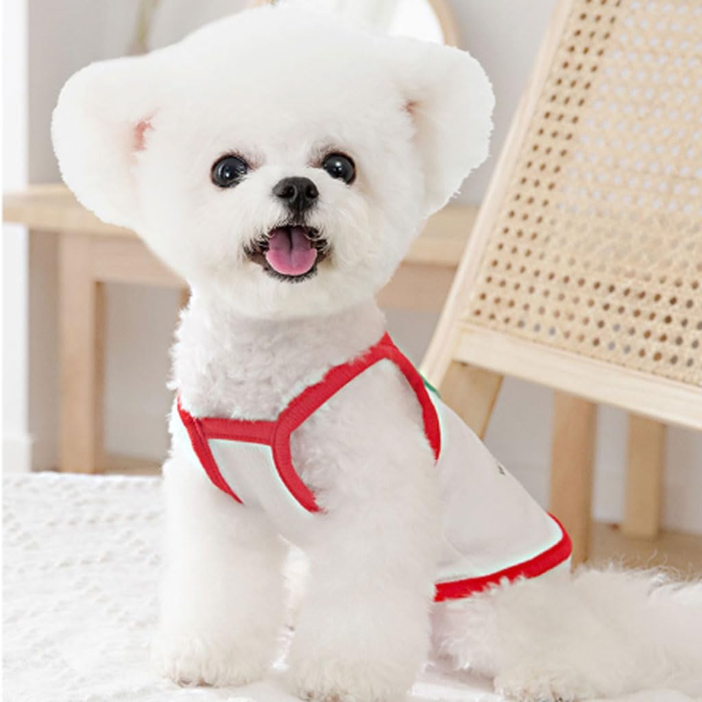 Summer Puppy Skirt Shirt Bunny Carrot Watermelon Printed Clothes Kitten Vests Camisole Puppy Summer Apparel Clothes for Small Dogs Cute Female Dog for Small Medium Dogs Cats