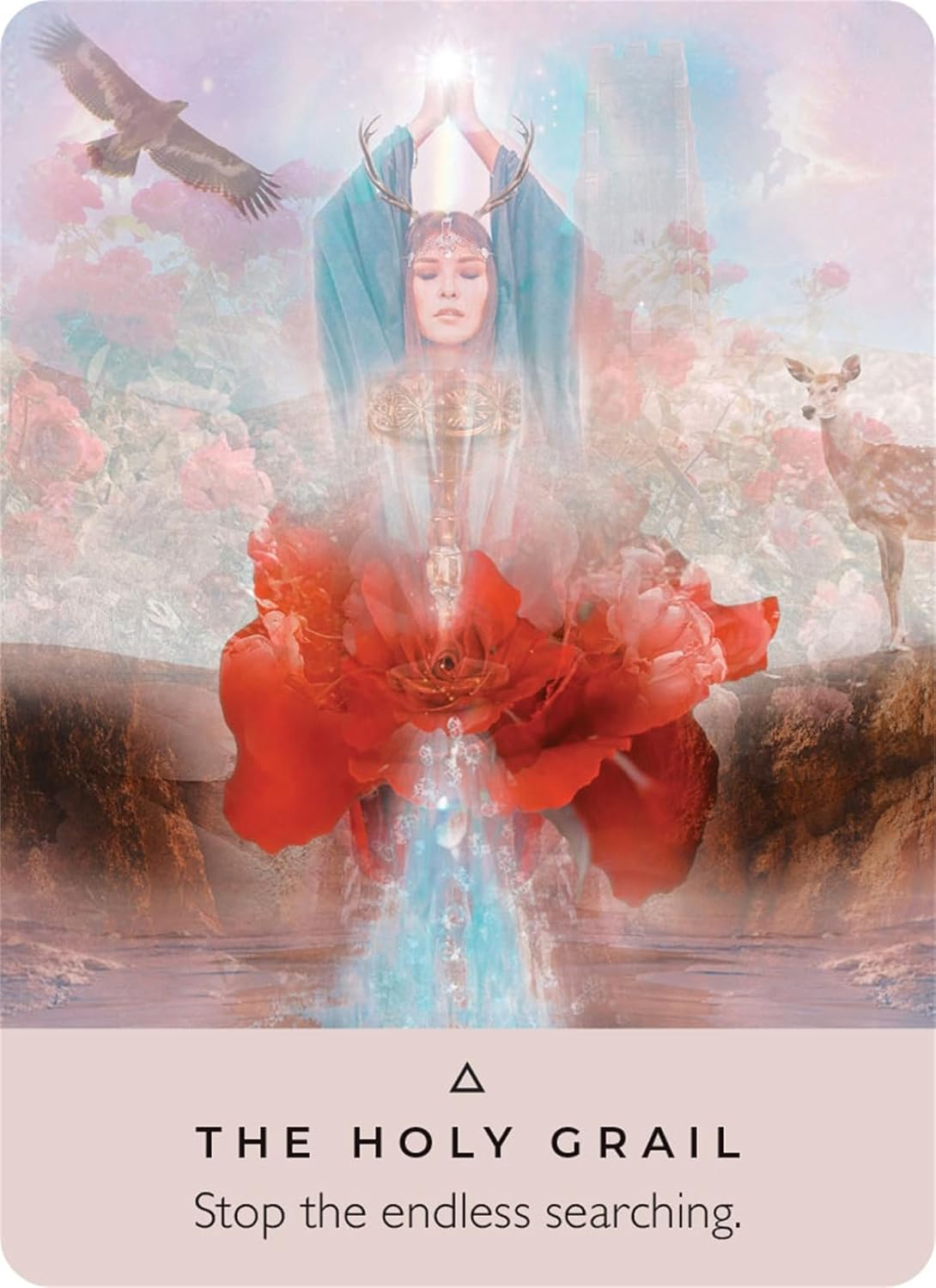 The Rose Pocket Oracle: a 44-Card Deck and Guidebook image number 5