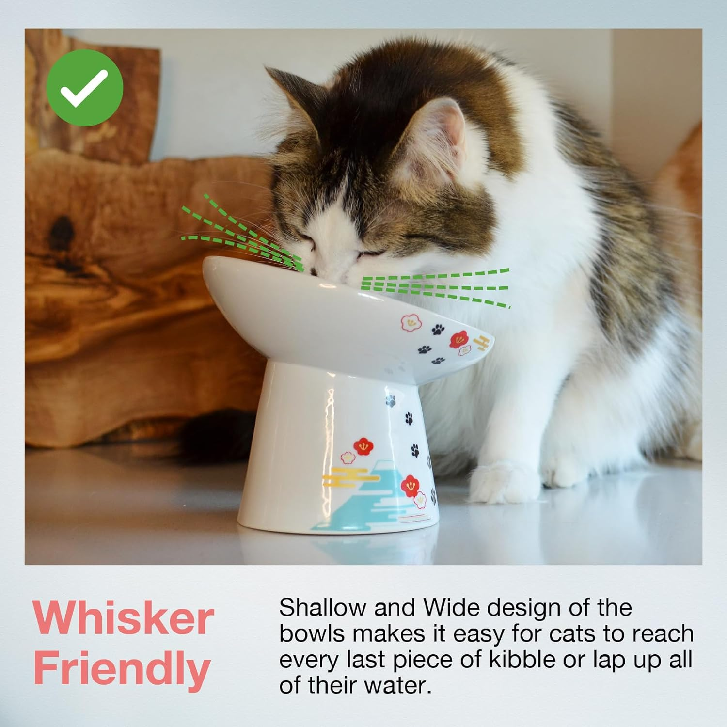 Necoichi Extra Wide Raised Cat Food Bowl, Elevated, Prevent Neck & Whisker Fatigue, Dishwasher and Microwave Safe, No.1 Seller in Japan! (Fuji Limited Edition, Extra Wide Tilted) DC-0715-NY18 image number 1