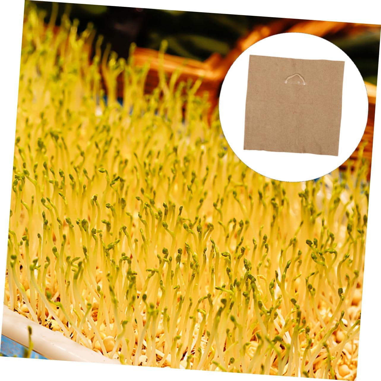 Parliky Jute Seed Growing Pads for Microgreens Sprouts Growing Paper 2Pcs Square Germination Tray Papers for Seed Starter Tray and Seeding Supplies in Indoor Gardening image number 6