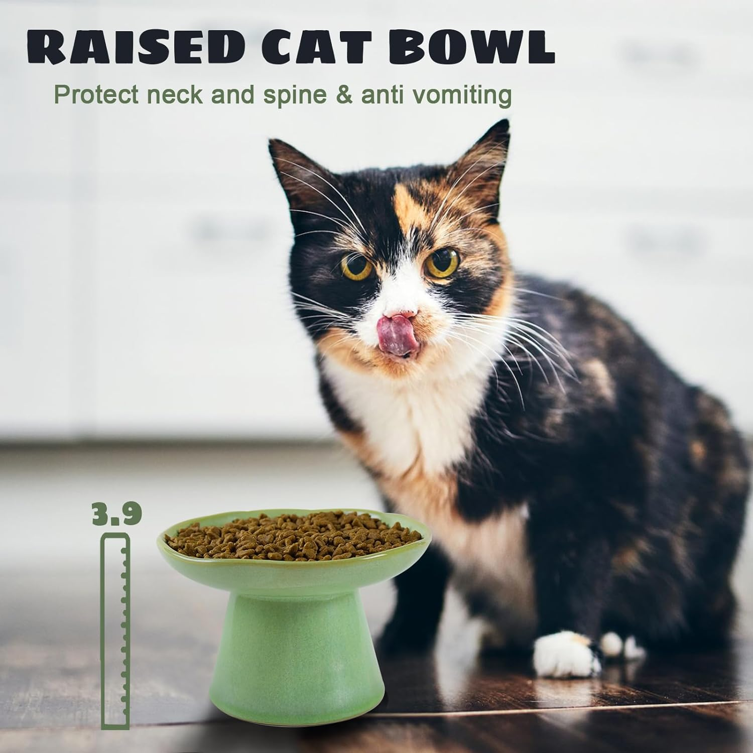 Wide Shallow 6.1" Raised Cat Bowls, Ceramic Elevated Food Bowl for Flat Faced Cats and Small Dogs, Porcelain Feeder Bowl, Stress Free, Protect Cat&rsquo;S Spine, Green image number 3