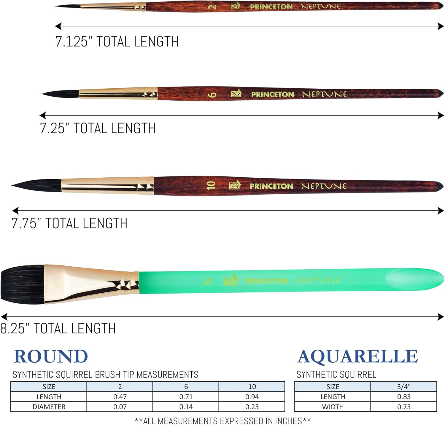 Princeton Neptune Professional Watercolour Brushes 4750 Series - 4Pc Soft Synthetic Squirrel Brush Set for Watercolour Painting - Aquarelle 1.9Cm - round 2 - round 6 - round 10 image number 6