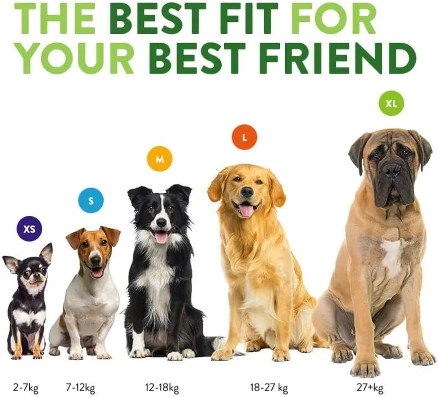 WHIMZEES Variety Bundle Dental Dog Treats, Small (7-12 Kg Dogs), Toothbrush + Antler + Stix - Daily Dental Chews for Dogs (104 Treats) image number 6