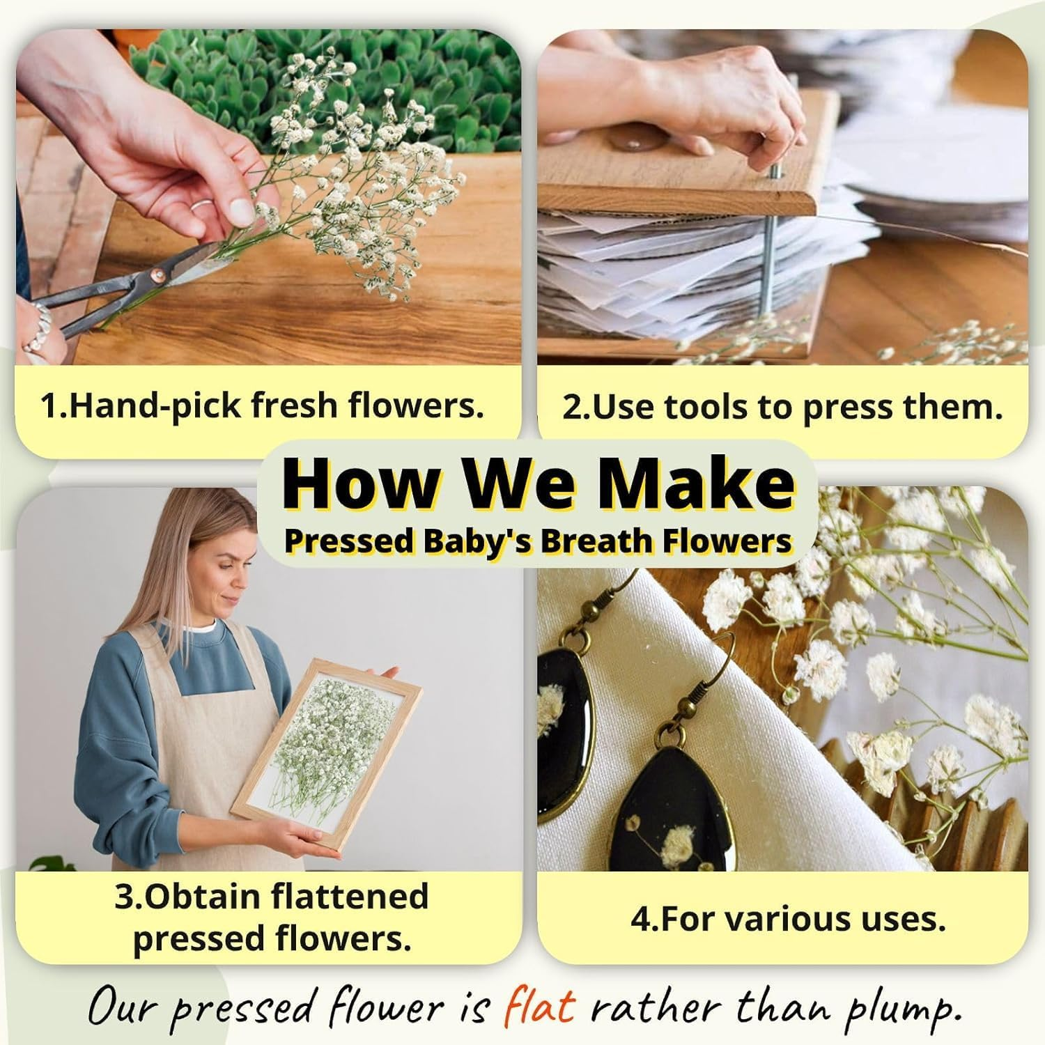 JCQMZB 100 Pcs Dried Babys Breath Flowers Bulk Ivory White Babys Breath Real Pressed Flowers Natural Gypsophila for Resin Wedding Art Craft DIY Invitations Scrapbooking Card image number 3