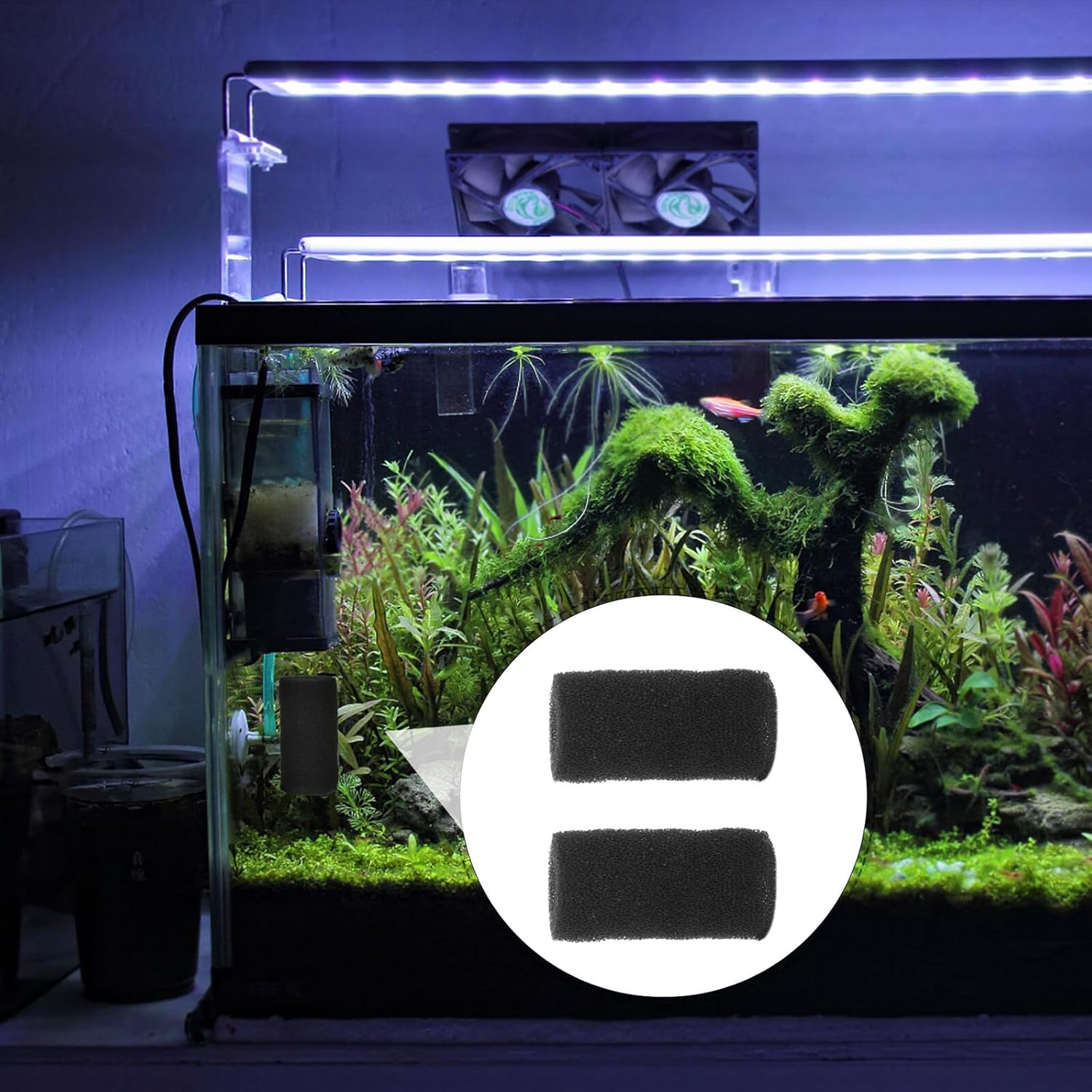 10Pcs Pre-Filter Sponge for Fish Tank Intake Filter Cover for Aquarium Pumps Compact Protective Sponge for External Filter Inlets Suitable for Freshwater and Saltwater Use image number 4