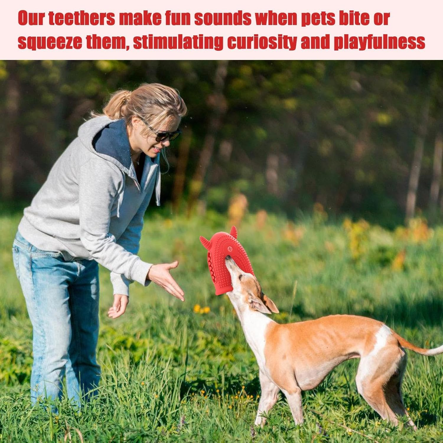 Dog Squeaky Toys | Funny Dog Chew Toys for Aggressive Chewers - Dog Teething Toys for Boredom Relief, Small Medium Large Dogs Interactive Chew Toys image number 2