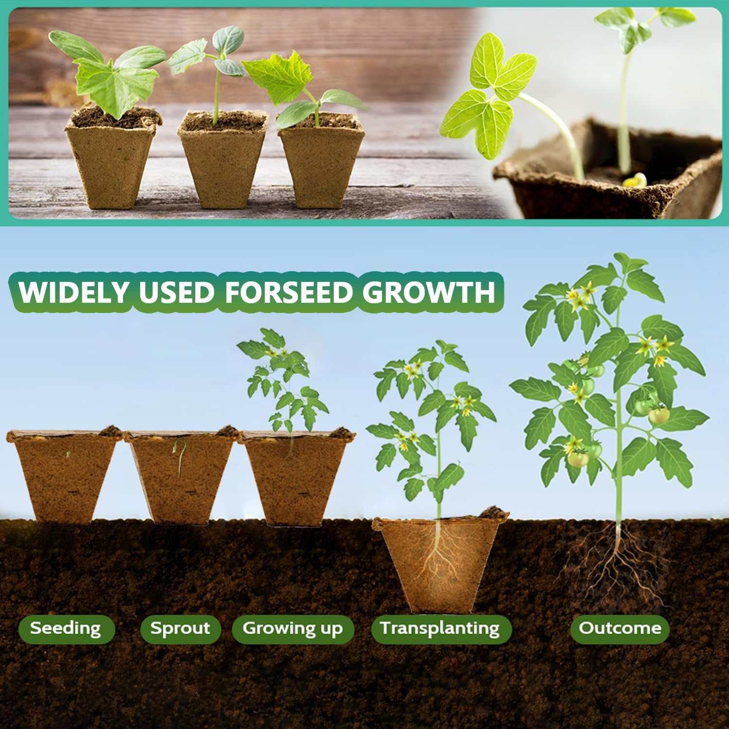 Doubleggs 360 Cells Seed Starter Tray, 30 Packs Biodegradable Peat Pots for Seedlings, Organic Germination Plant Starter Kit with 200 Labels and 2 Transplant Tools image number 3