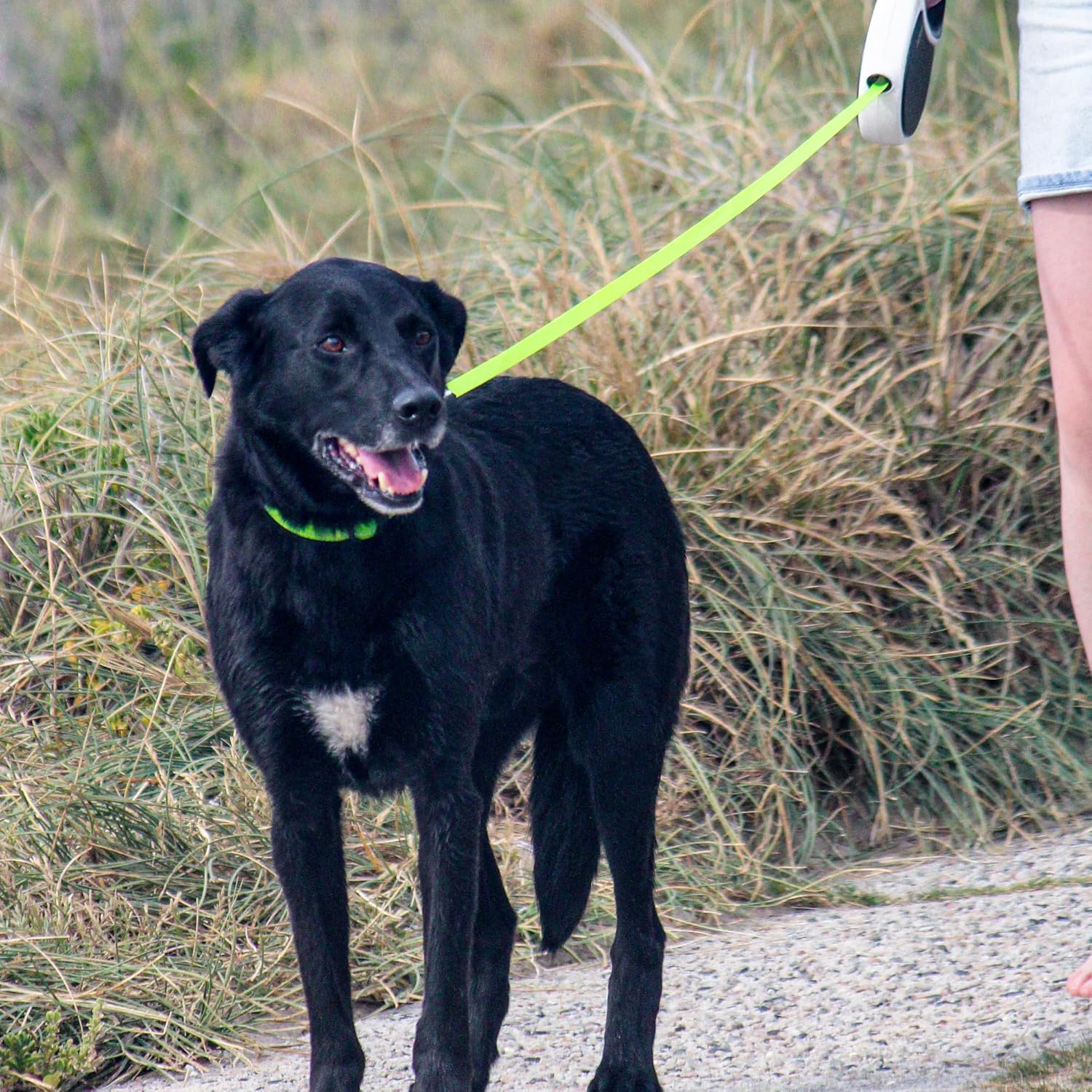 Huskimo Dog Lead Retractable Small &ndash; Hi-Vis Tape, One-Touch Lock, Ergonomic Grip, 3M, up to 10Kg image number 3