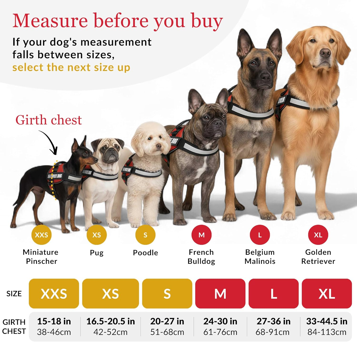 ALBCORP Service Dog Vest Harness &ndash; Reflective, No-Pull Harness with Handle & Comfy Mesh Padding &ndash; Sizes XXS-XL for Puppies, Small & Large Dogs &ndash; 2 Removable Service Patches Included(Xxs, Red) image number 2