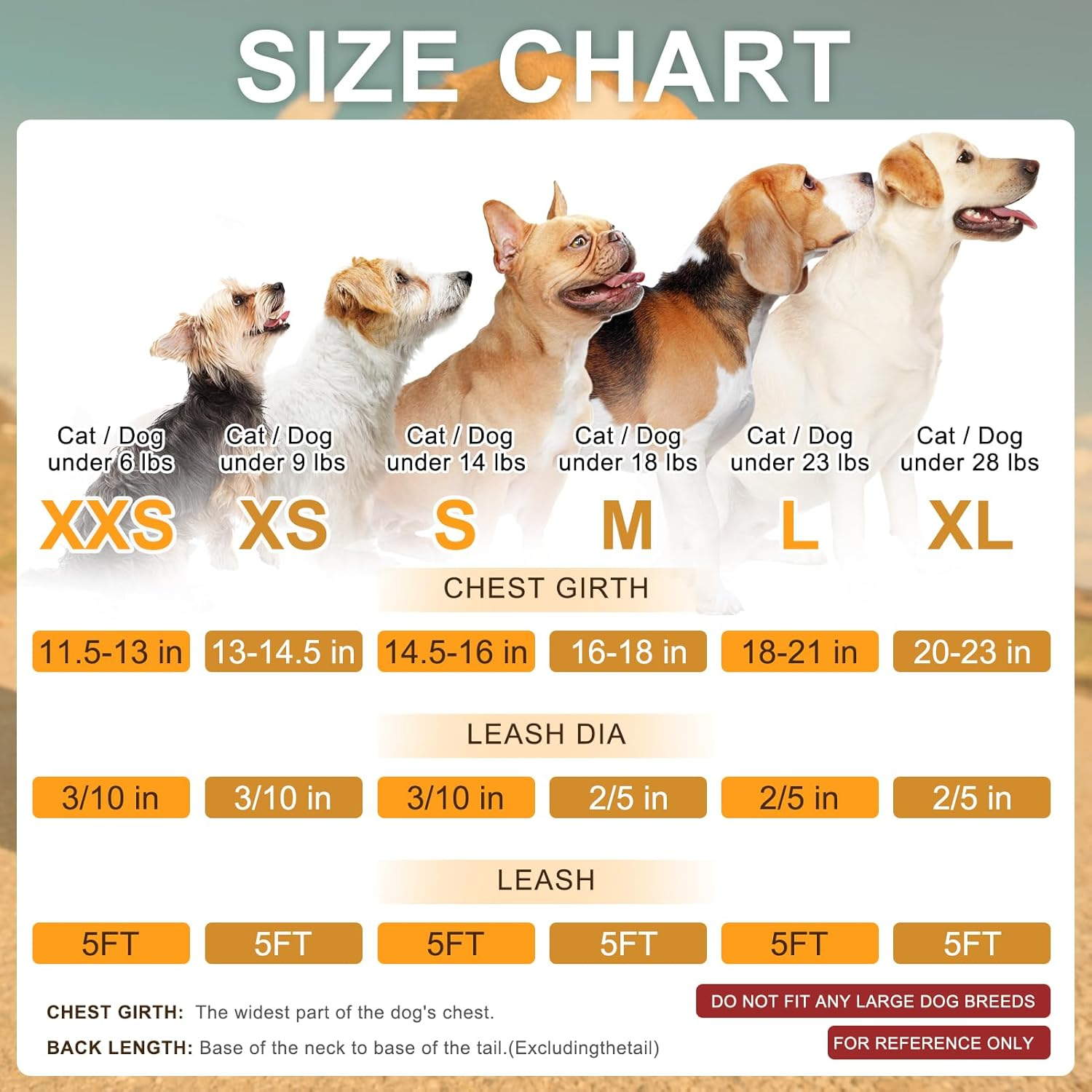 BEAUTYZOO Small Dog Harness and Leash Set,Step in No Choke No Pull Soft Mesh Dog Harnesses Reflective for Extra-Small Medium Puppy Dogs and Cats, Plaid Dog Vest Harness for XS S Pets, Grey XS image number 2