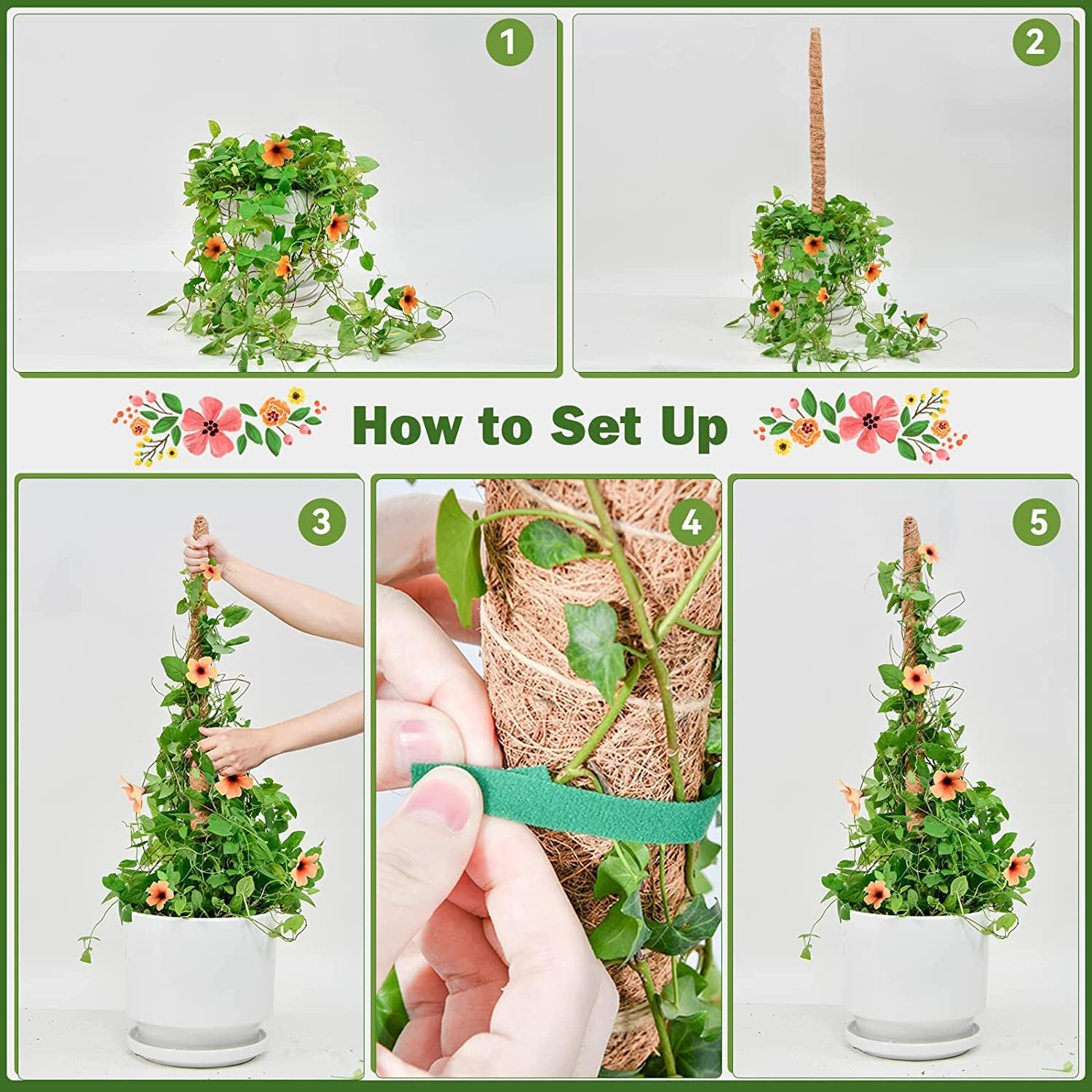 Moss Pole for Plants Monstera, 2PCS 25'' Bendable Plant Sticks Support, Plant Stakes for Indoor Plants, Coco Coir Pole Plant Support, Monstera Moss Pole for Climbing Plants Growth (25" * 2Pcs) image number 1