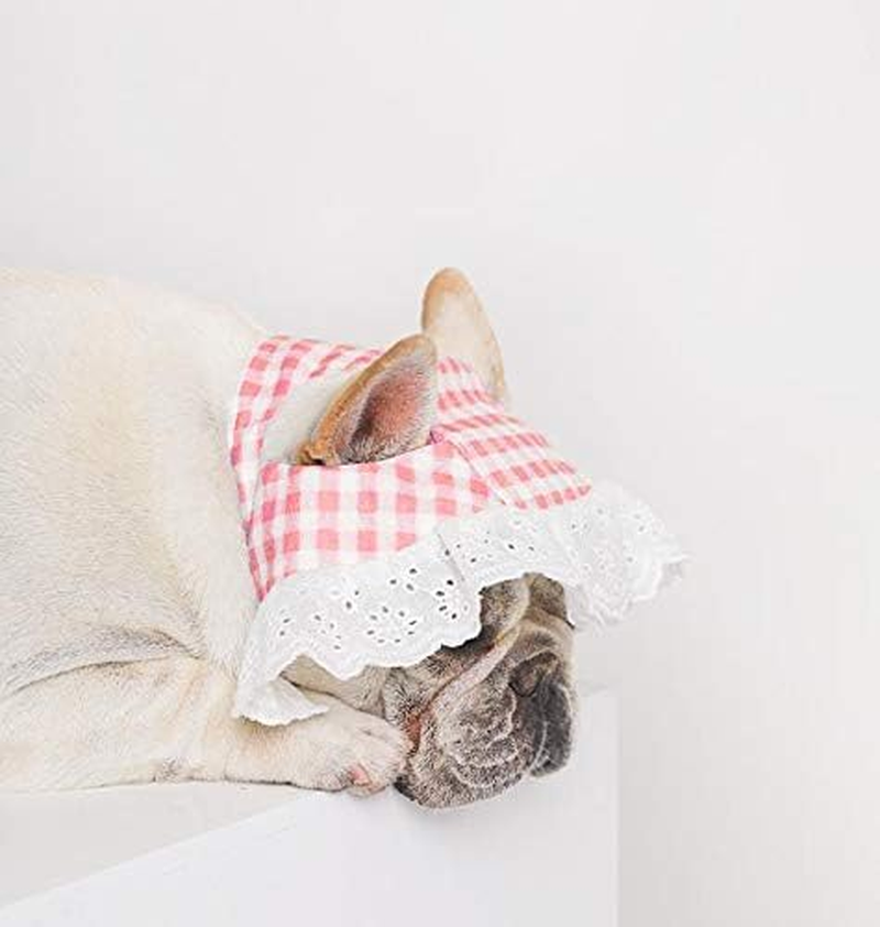 Summer Pet Lace Baby Hat Princess Sun Cap, Adjustable Dog Outdoor Sport Sun Protection Visor Sunbonnet Outfit with Ear Holes for Small and Medium Dog (Red, M) image number 5