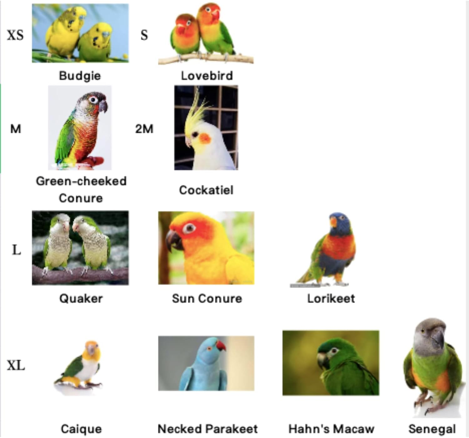 Bird Flight Harness Vest, Parrot Flight Suit with Leash for Parakeets Cockatiels Conures Budgies, Bird Flying Clothes with Rope and Handle for Outdoor Activities Training, anti Bite (Medium) image number 1