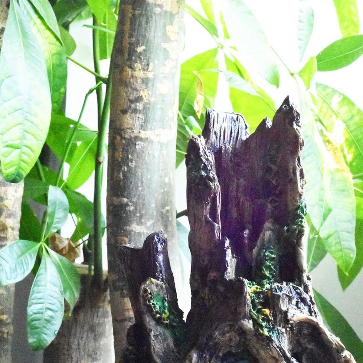 AIMALL Resin Submerged Wood Aquarium Decoration with Avoidance Holes | Natural Fish Tank Landscape Ornament, Simulation Dead Wood for Fish Tank 5.9X4.7X7.9In image number 1