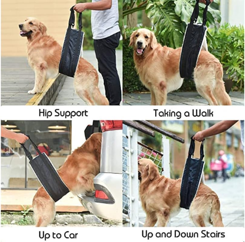 Adjustable Dog Harness Dog Walking Aid Dog Stairs Dog Rear Lift Support Harness Small, Medium and Large Dog Rehabilitation Carry Strap for Spinal Cord Infarction Osteoarthritis image number 4