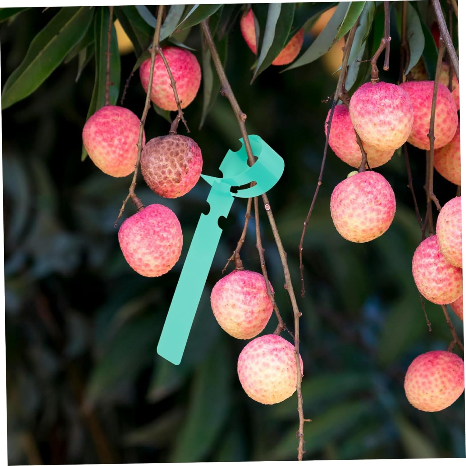 Happyyami 100Pcs Large Writing Surface Plant Labels for Garden Accessories Plastic Plant Tree Tags image number 5