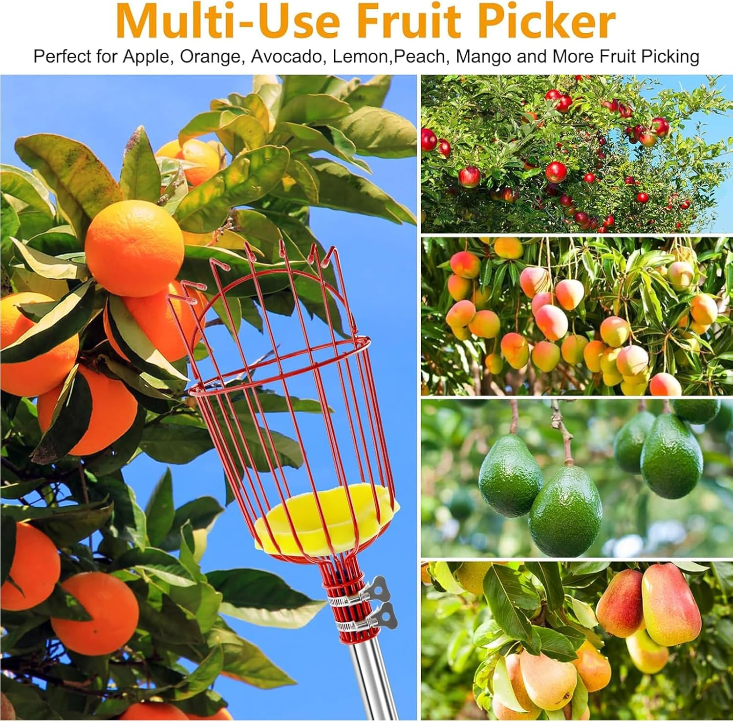 Fruit Picker Pole Tool with Basket Telescoping Long Handle,8 FT Adjustable Stainless Steel Handle,Apple Orange Picker Pole Tool with Basket for Avocado Acorn Lemon Pear Mango Tree Picker image number 3