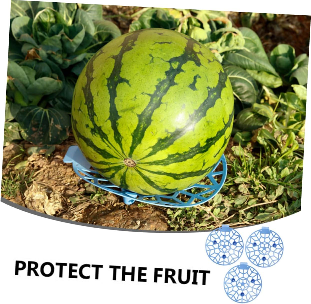 FONDOTIN 3Pcs Fruit Tray Corrosion Plastic Support Tray for Gardening and Fruit Storage No Installation Required image number 2