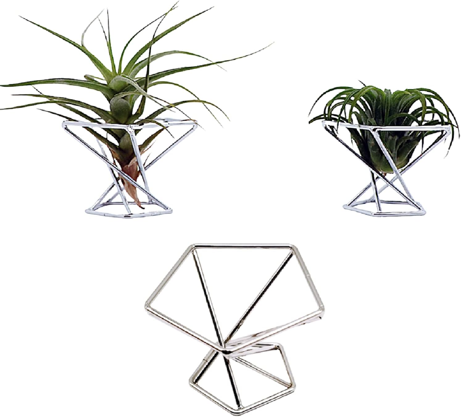 Pack 5 Gold Air Plant Holder Air Plants Holders Tillandsias Display Air Purifying Plant Container Air Fern Stand Geometric Decor for House, Wedding Party