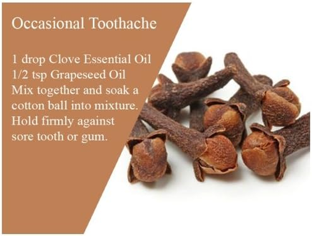 Salvia Clove Oil - 100 Ml / 3.38 Fl Oz | Steam-Distilled Oil for Aroma, DIY Blends & Home Use image number 2