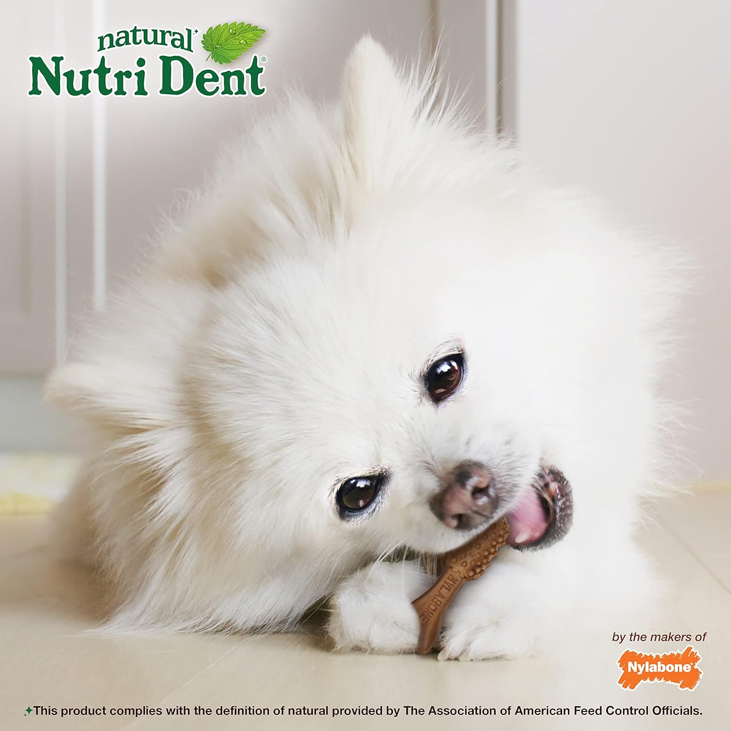 Nylabone Nutri Dent Filet Mignon Flavored Dog Dental Chews Mini (160 Count) image number 2