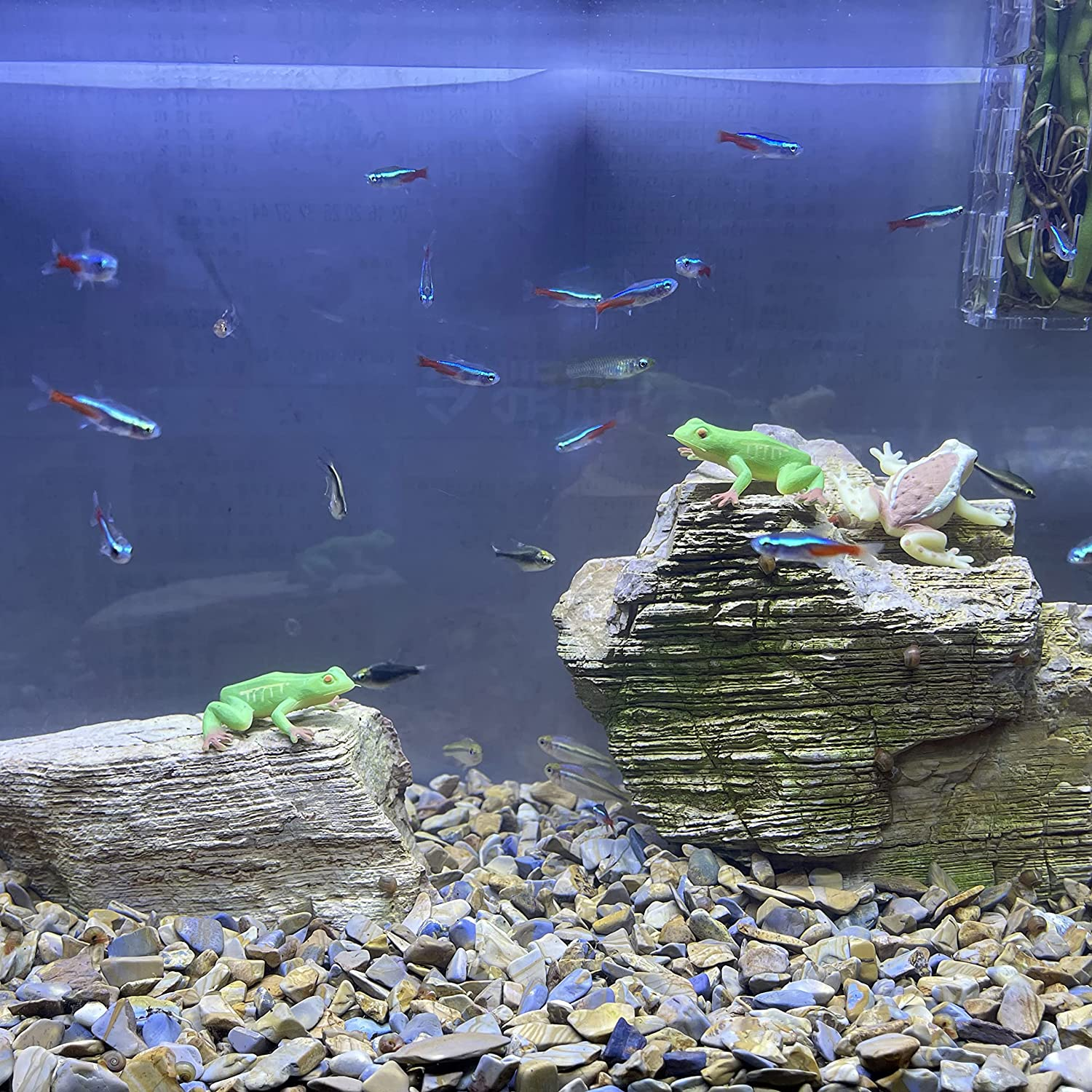 17Pcs Aquarium Decoration Set.Plastic Frogs and Lily Pads for Lake,Fish Tank Accessories Aquarium Decorations Plants.Artificial Pond Plants Ornaments for Pool Aquarium Decoration, (Set a -17)