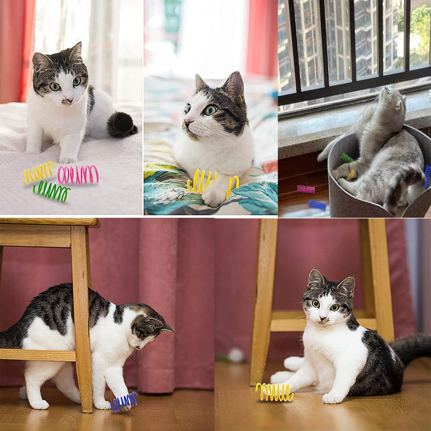 WALFESHOO 16PCS Cat Spiral Spring,Cat Creative Toy to Kill Time and Keep Fit Interactive Cat Toy Durable Heavy Plastic Spring Colorful Springs Cat Toy for Swatting, Biting, Hunting Kitten Toys