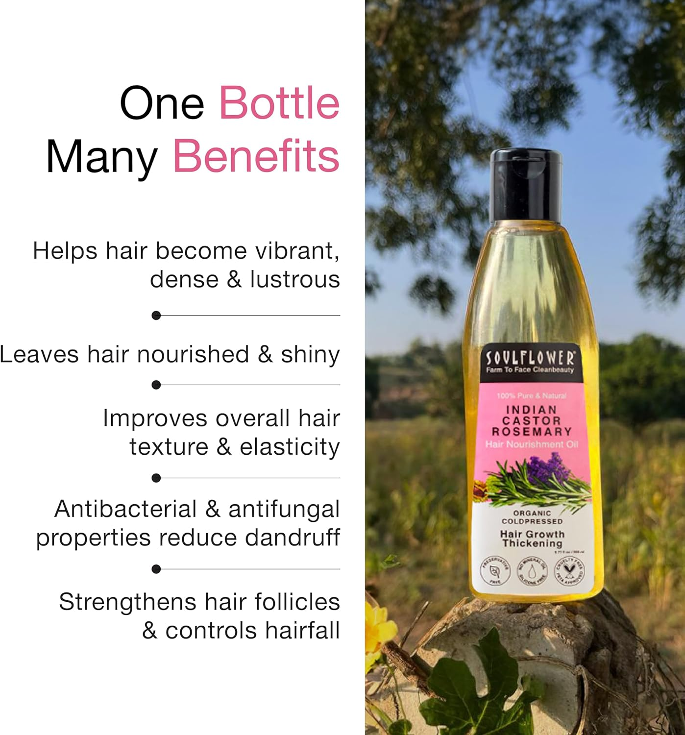 Soulflower Rosemary Castor Oil for Hair Growth, Hair Fall Control, Frizzy Hair - 100% Pure, Natural, Cold Pressed, Preservative Free - 6.7 Fl Oz / 200Ml image number 5