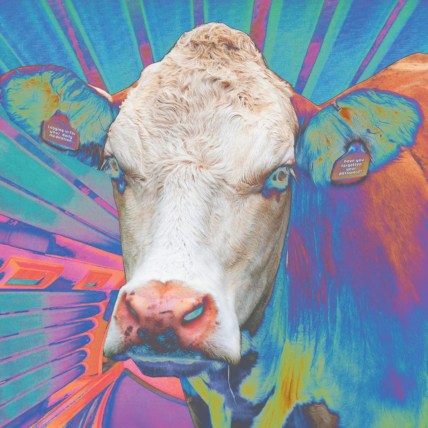 Eyes of Others image number 1