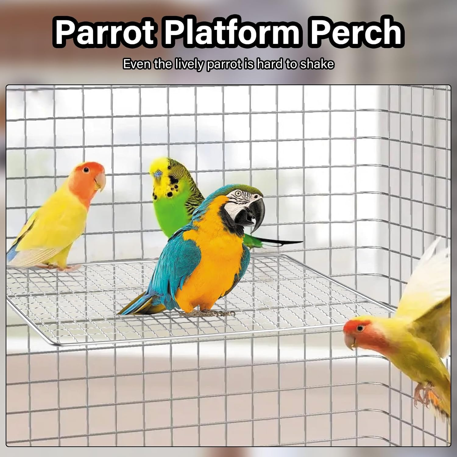 2 Pcs Stainless Steel Bird Perches Platform, Sturdy Stainless Steel Perch for Bird Cage - Multi-Functional Resting & Jumping Stand for Parrots, Conures, Cockatiels, Budgies - Easy to Clean and Install