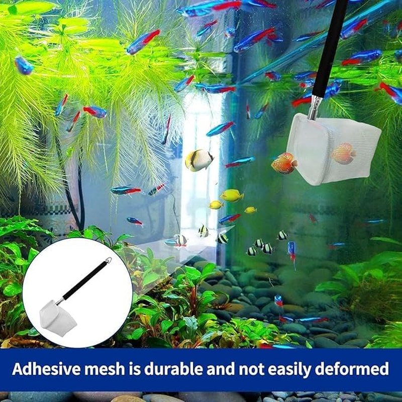 2Pcs Small Telescopic Shrimp Net,Small Telescopic Aquarium Fish Net,Aquarium Shrimp Net Telescopic Fish Shrimp Skimming Net,Aquarium Shrimp Net Telescopic Fish Tank Shrimp Net,Aquarium Shrimp Net image number 5