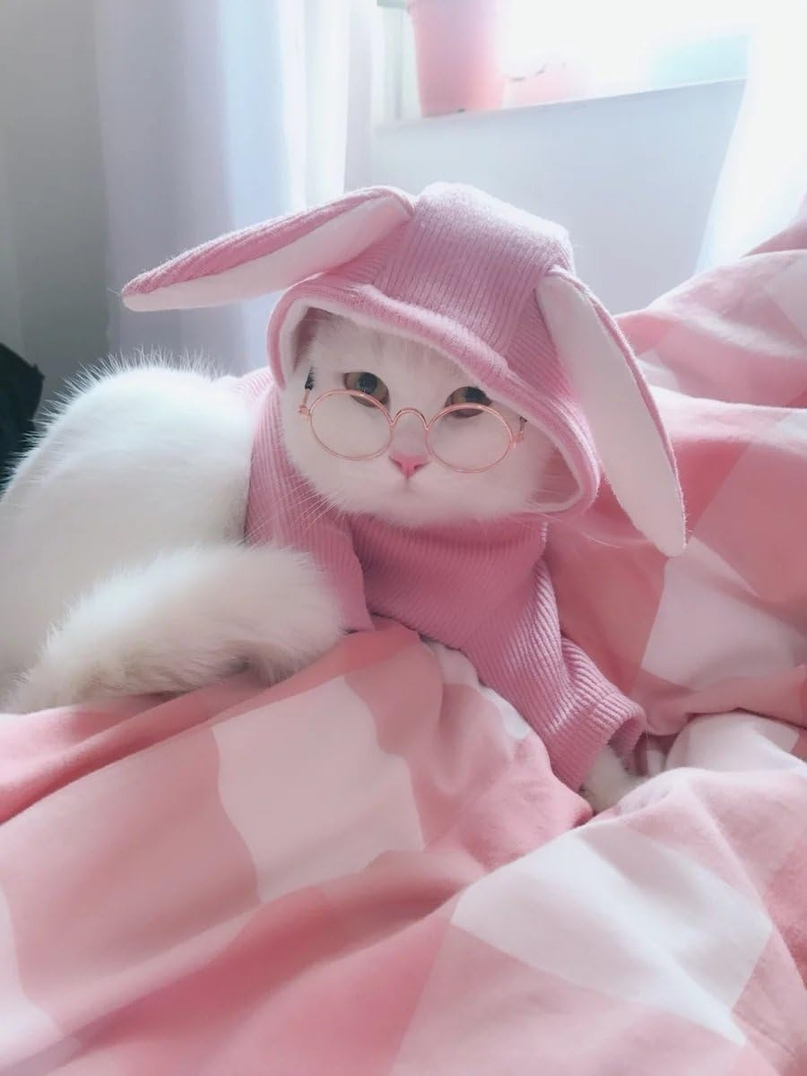 Dog Cat Sunglasses, Retro round Trans Golden Frame, Resin Lens, Fashion Protection for Small Mini Pets, Party, Wedding, Cosplay Props (Clear) image number 5