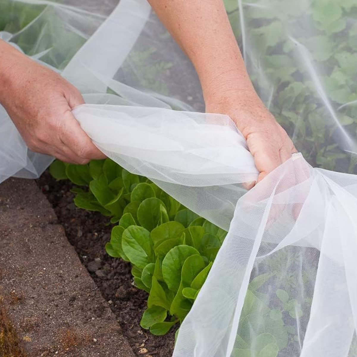 2 Pack 8.2 X 20Ft Garden Netting, Garden Mesh Netting Greenhouse Protection Net Reusable Plant Covers for Protect Vegetables Fruits Plant Flower Crop Screen Barrier Net Row Covers image number 4