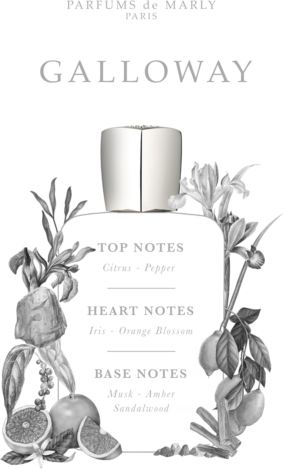 PARFUMS DE MARLY Galloway image number 2