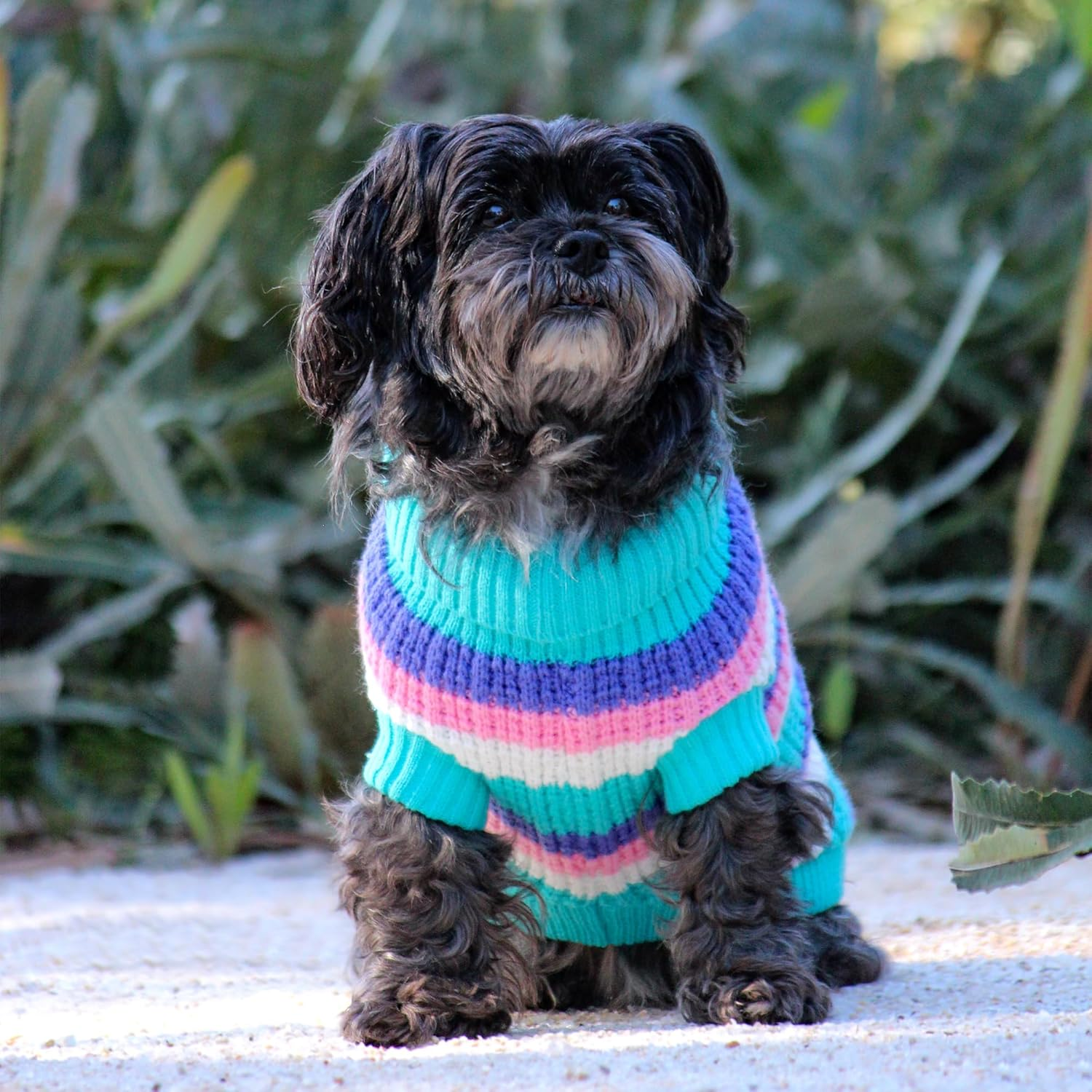 Huskimo Soho Knit Crush Dog Jumper, Cyan, 22Cm