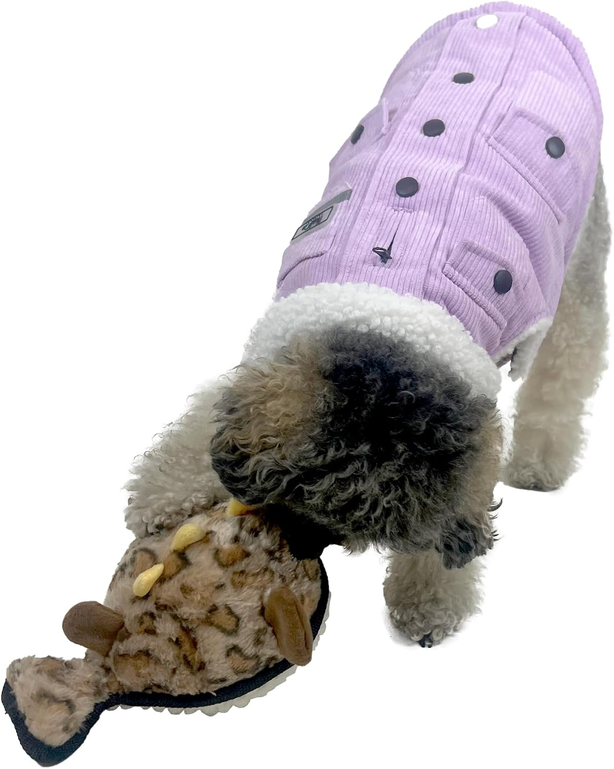 Ruff Play Extra Tuff Plush Blowfish Dog Toy, Brown - Dog Teething Toy, Chew Toys, Extremely Durable, for Aggressive Chewers, Extra Tough Dog Toys, Aids Dogs Dental Health image number 3