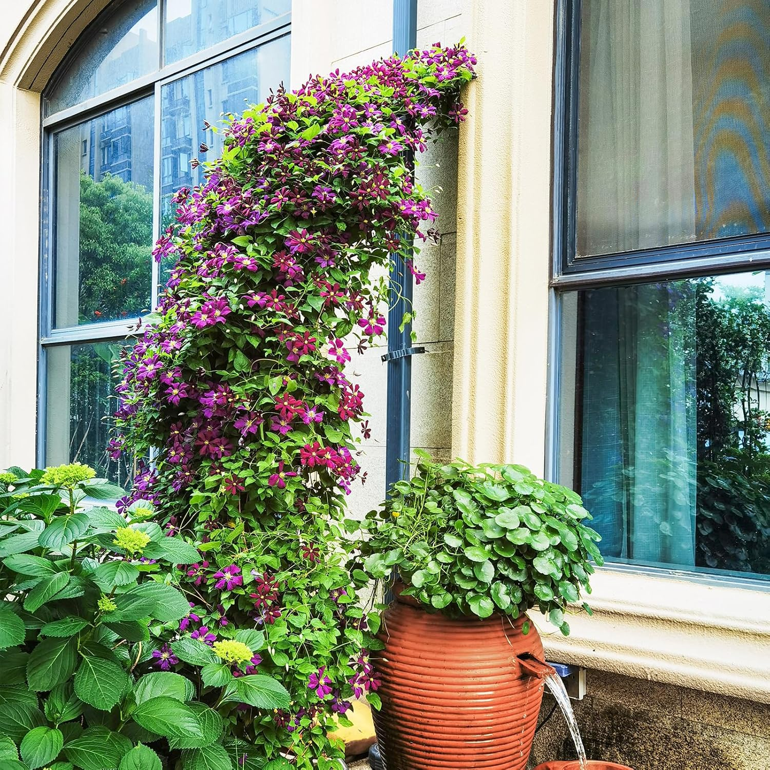 Giantex - 2 Half Garden Arch Trellis, 8.2Ft Metal Garden Gazebo 7 Sizes Easy to Assemble Archway Climbing Plants Roses Vines Outdoor Trellis Pergola Ultimate image number 5