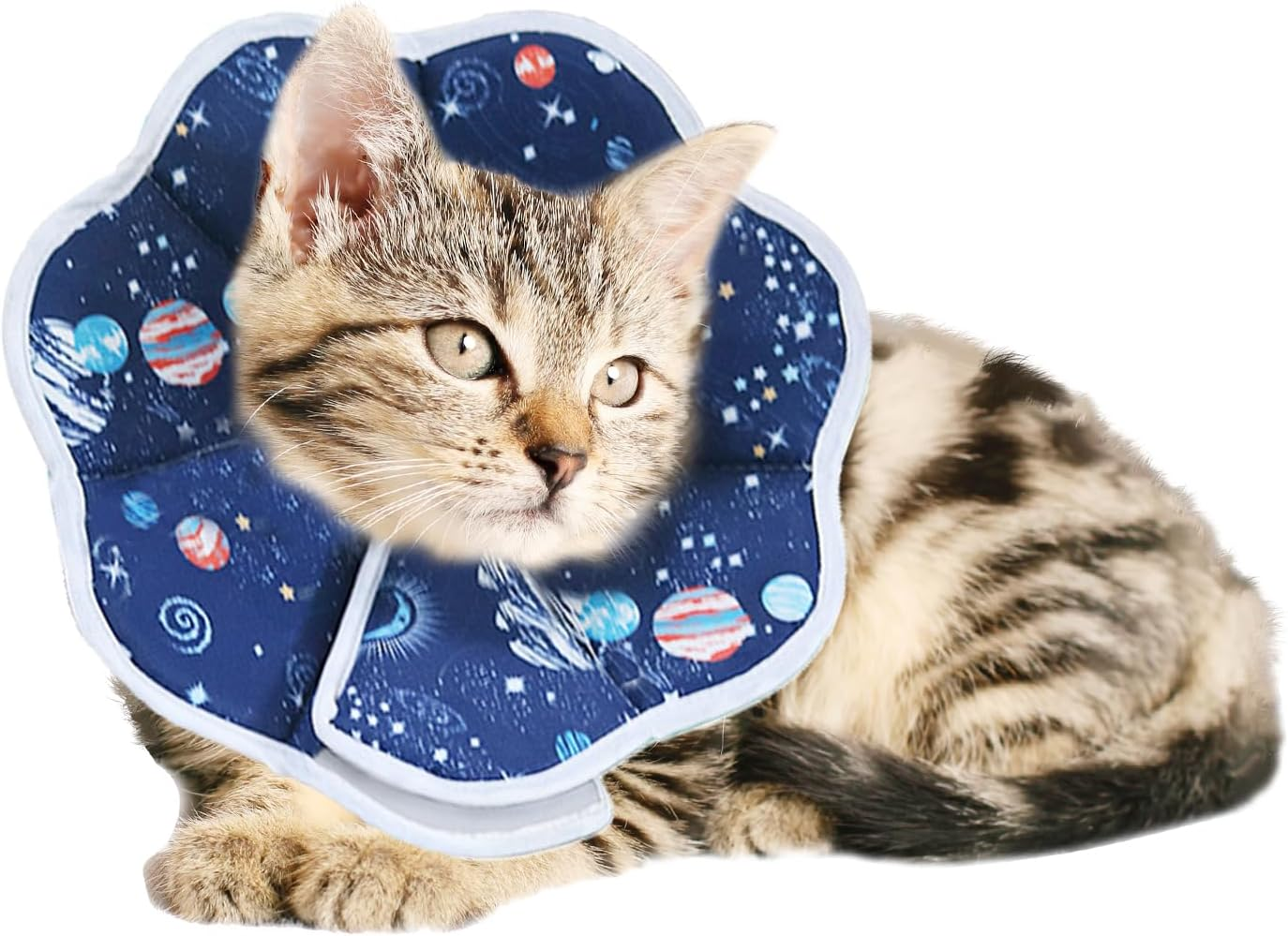 Hzqzaoan Soft Cat Recovery Collar, Protective Adjustable Pet Cone Collar - Cat Cone for after Surgery Soft Adjustable Lightweight for Kitten Prevent from Licking Wounds, Not Block Vision (Blue, S) image number 2