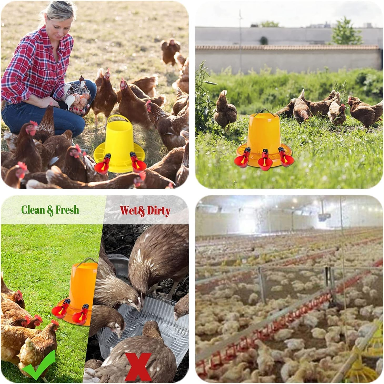 10 Pcs Automatic Chicken Drinkers Waterers Poultry Watering Cups Bowls Drinking Dispenser Cage Accessories, for Chicken Quail Water Cups Drinker Automatic Farm image number 3