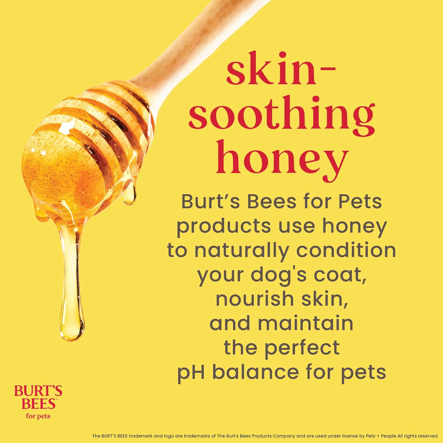 Burt'S Bees for Pets Detangling Spray for Dogs with Lemon and Linseed Oil, 99.7% Natural Origin Formulas, Waterless Canine Shampoo - Gentle Dry Cleanser for Pups 10 Oz image number 6