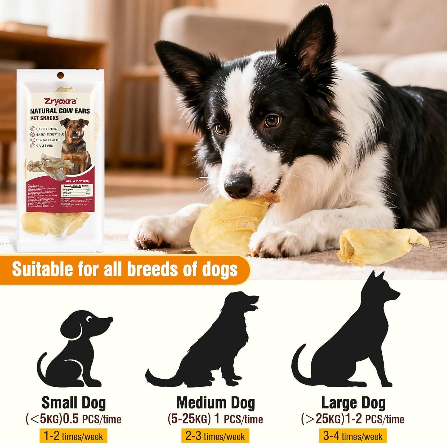 100% Natural Real Cow Ears for Dogs - Single Ingredient Dental Chew, Long-Lasting Treats for All Breeds (Small/Medium/Large) | High Protein, Easily Digestible