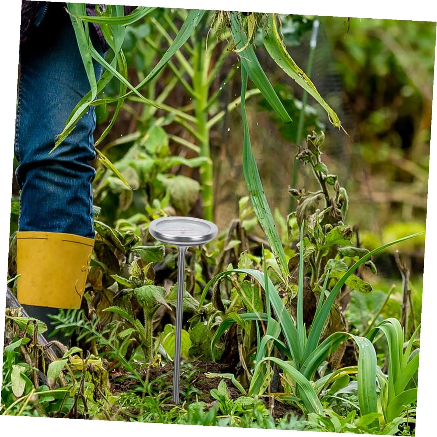 HANABASS Stainless Steel Compost Thermometer Probe Long Soil Temperature Measuring Tool C- C Accurate Gardening Instrument Lightweight for Planting and Soil Monitoring image number 2