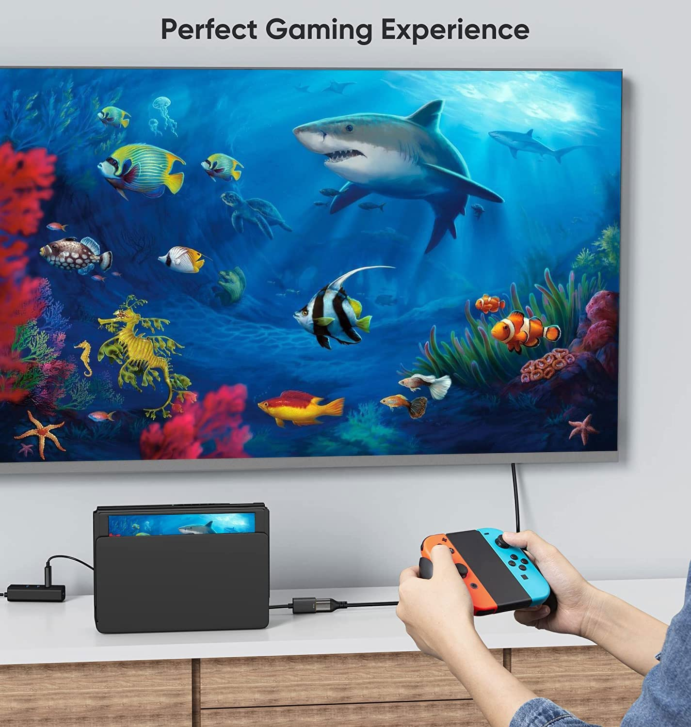 HDMI to Displayport Adapter with USB Power, Cablecreation 4K@60Hz 2560 * 1440@120Hz HDMI Male to DP Female Adapter for Xbox One, Switch, Laptop, Monitor Compliant with VESA Dual-Mode Displayport 1.2 image number 4