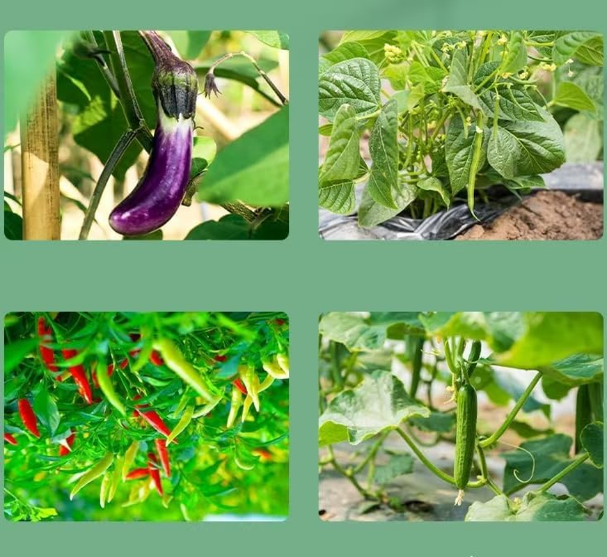 100 PCS Plant Support Clips, Tomato Clips, Garden Clips to Grow Upright Makes Plants Healthier, Plant Ties for Tomato Cucumber Flower Squash Vine, Plant Clip for Support,Tomato Vine image number 3