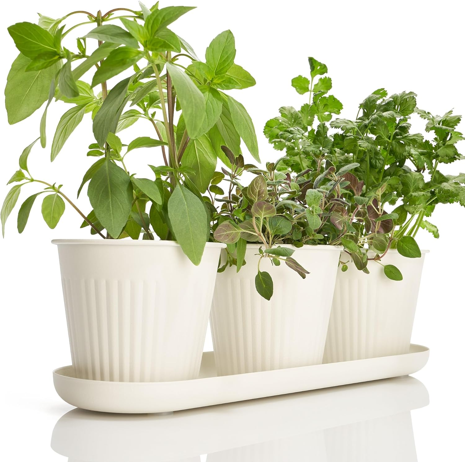 KIBAGA Beautiful Herb Garden Planter Indoor Set of 3 - Perfect for Any Kitchen Window Sill or Countertop - a Modern Decor Gardening Planter Kit Incl. Tray & Drainage Holes to Grow Fresh Herbs at Home image number 3