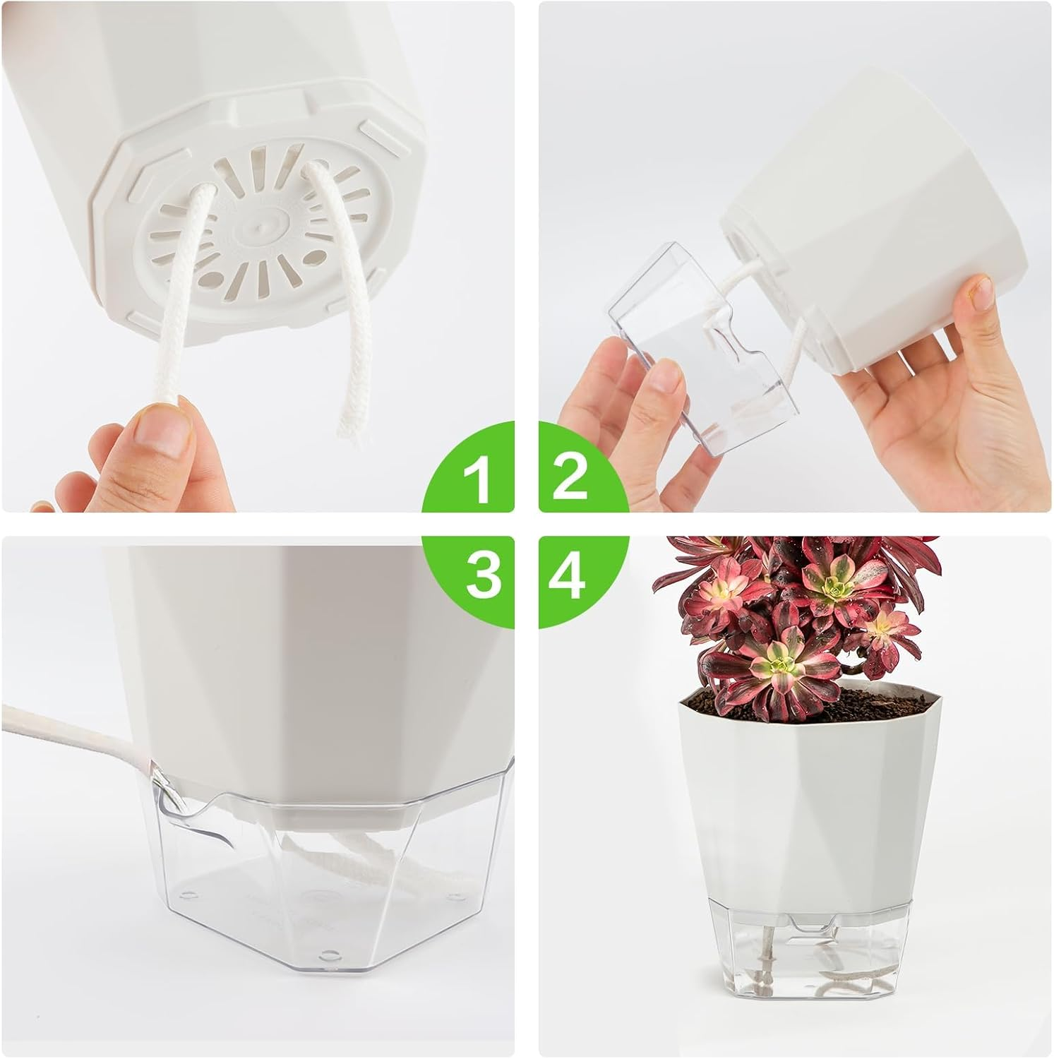 3-Pack Self Watering Planter Pots, 6.7 Inch Plastic Planters with Drainage Holes, Cotton Rope and Trays, Decorative Flower Pots for Indoor Outdoor Garden Plants (Multicolor) image number 4